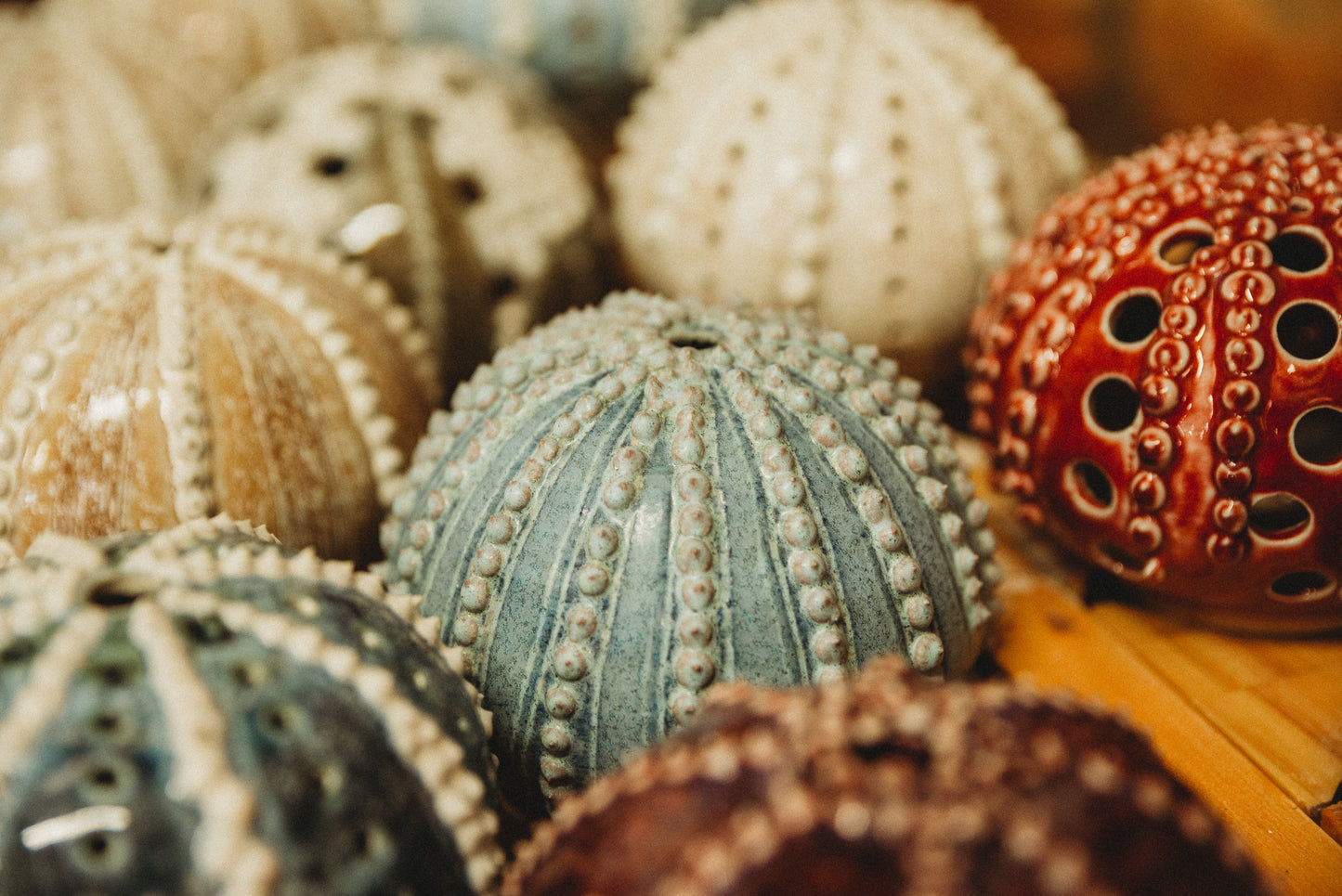 Sea Urchin Candle Holders