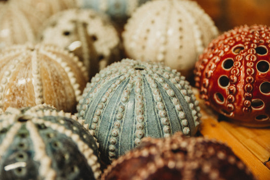 Sea Urchin Candle Holders